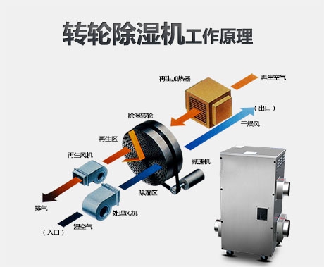 潮濕危害真不小，用除濕機(jī)真見(jiàn)效