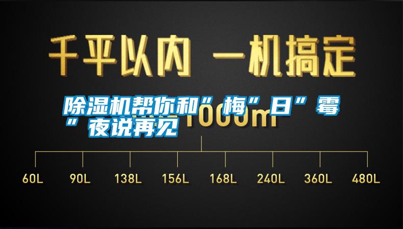 除濕機幫你和”梅”日”霉”夜說再見