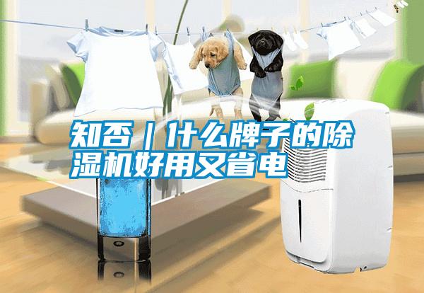 知否｜什么牌子的除濕機好用又省電