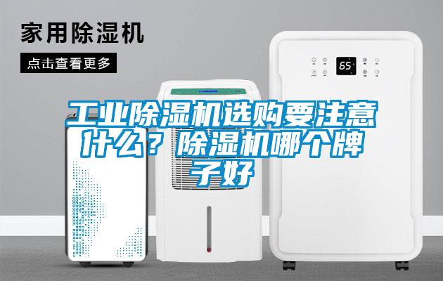 工業(yè)除濕機(jī)選購要注意什么？除濕機(jī)哪個牌子好