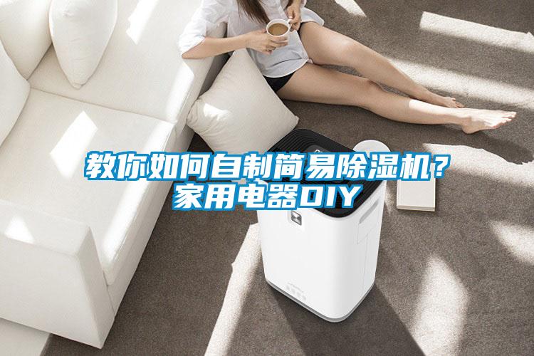 教你如何自制簡易除濕機？家用電器DIY