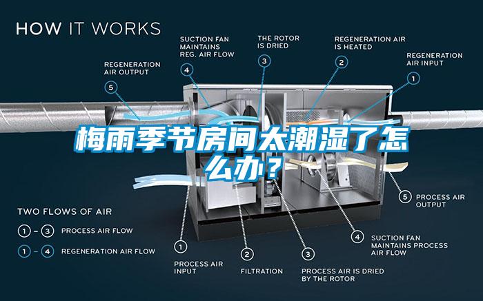 梅雨季節(jié)房間太潮濕了怎么辦？