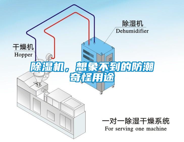 除濕機(jī)，想象不到的防潮奇怪用途