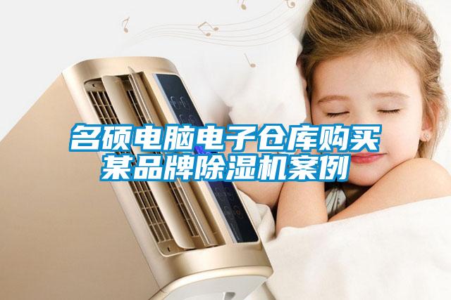 名碩電腦電子倉(cāng)庫(kù)購(gòu)買(mǎi)某品牌除濕機(jī)案例