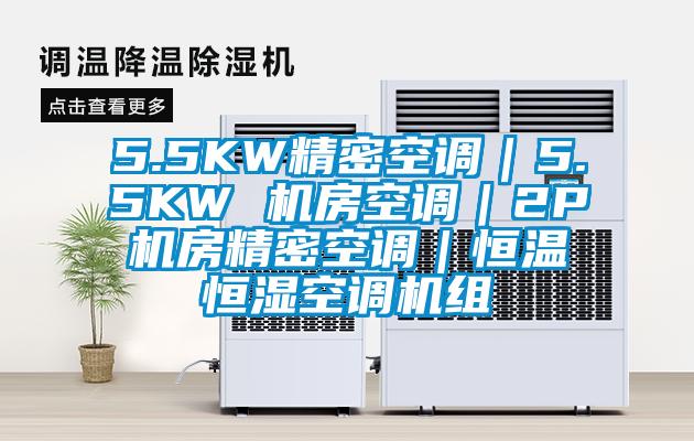 5.5KW精密空調(diào)｜5.5KW 機房空調(diào)｜2P機房精密空調(diào)｜恒溫恒濕空調(diào)機組