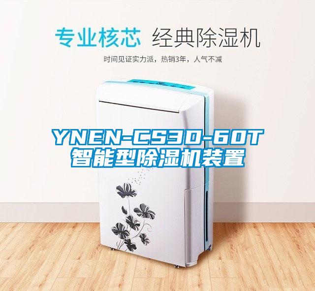 YNEN-CS3D-60T智能型除濕機裝置