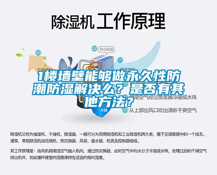 1樓墻壁能夠做永久性防潮防濕解決么？是否有其他方法？