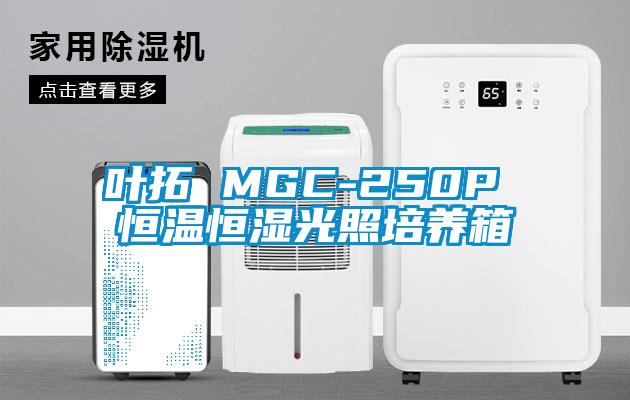 葉拓 MGC-250P 恒溫恒濕光照培養(yǎng)箱