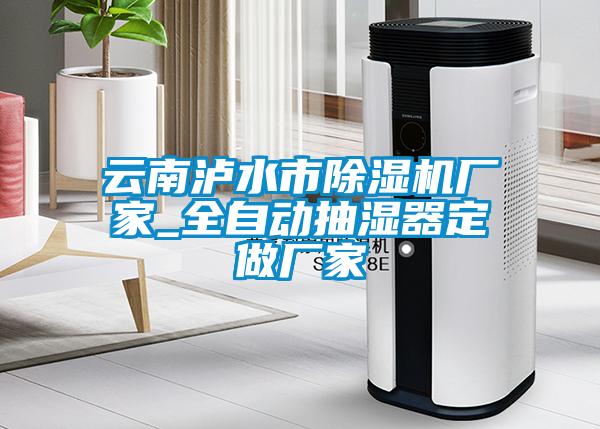 云南瀘水市除濕機(jī)廠家_全自動(dòng)抽濕器定做廠家