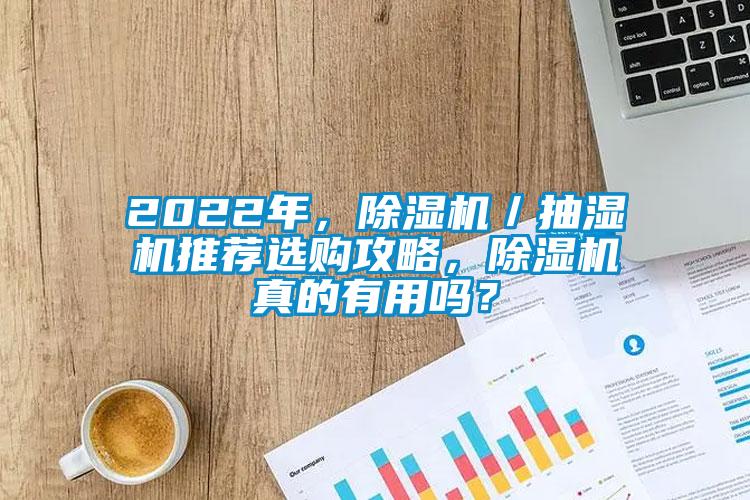 2022年，除濕機／抽濕機推薦選購攻略，除濕機真的有用嗎？