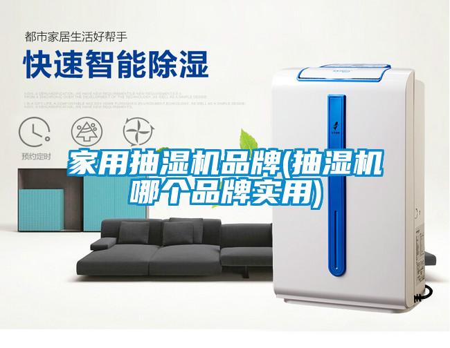 家用抽濕機品牌(抽濕機哪個品牌實用)