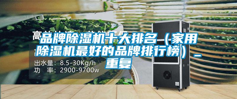 品牌除濕機十大排名（家用除濕機最好的品牌排行榜）_重復