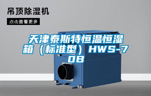 天津泰斯特恒溫恒濕箱（標(biāo)準(zhǔn)型）HWS-70B