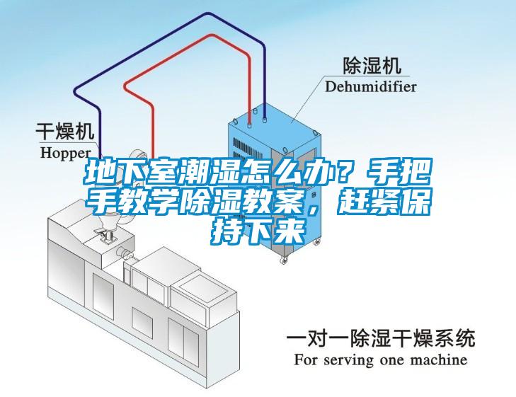 地下室潮濕怎么辦？手把手教學(xué)除濕教案，趕緊保持下來