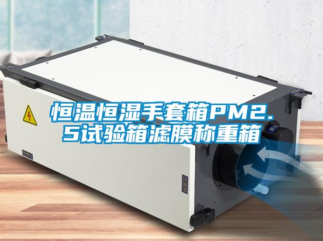 恒溫恒濕手套箱PM2.5試驗(yàn)箱濾膜稱重箱