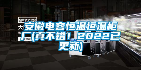 安徽電容恒溫恒濕柜廠(真不錯！2022已更新)