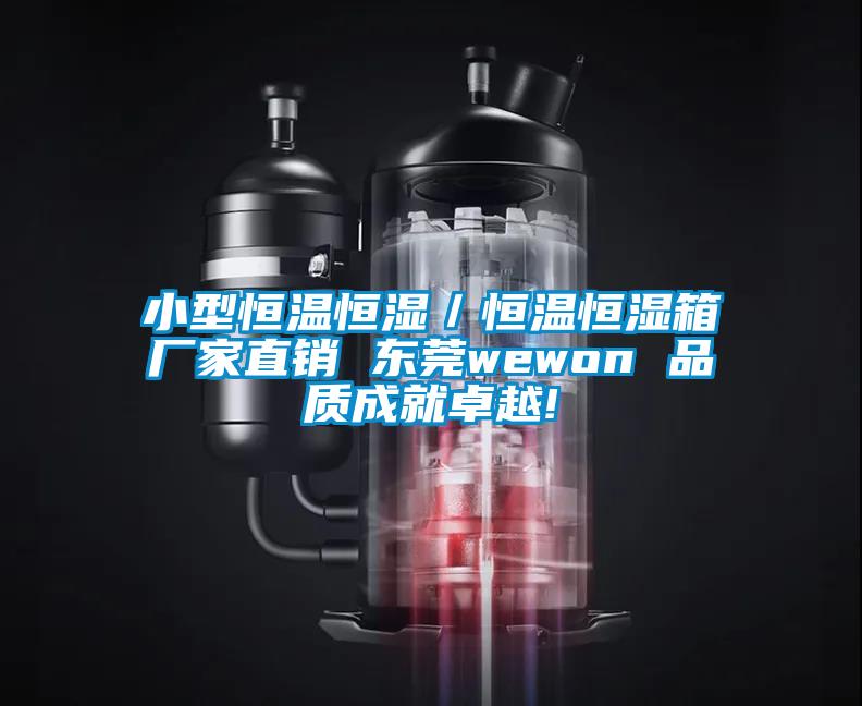 小型恒溫恒濕／恒溫恒濕箱廠家直銷 東莞wewon 品質(zhì)成就卓越!