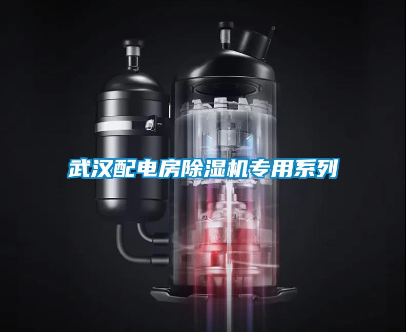 武漢配電房除濕機(jī)專用系列