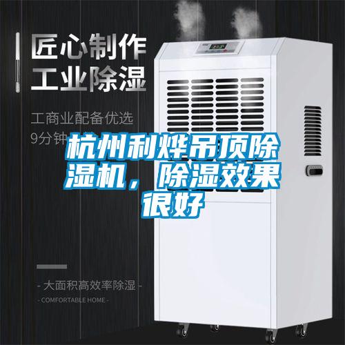 杭州利燁吊頂除濕機(jī)，除濕效果很好