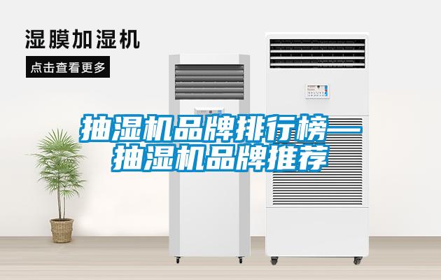 抽濕機品牌排行榜—抽濕機品牌推薦