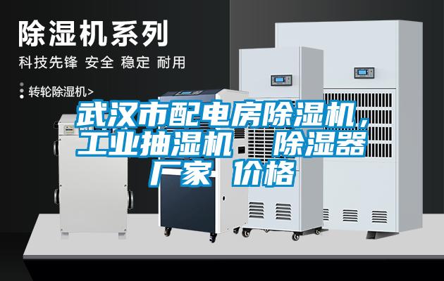 武漢市配電房除濕機，工業(yè)抽濕機  除濕器廠家 價格