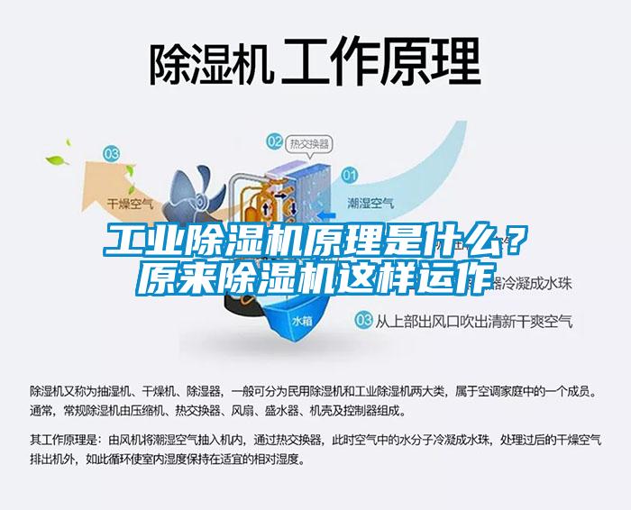 工業(yè)除濕機原理是什么？原來除濕機這樣運作