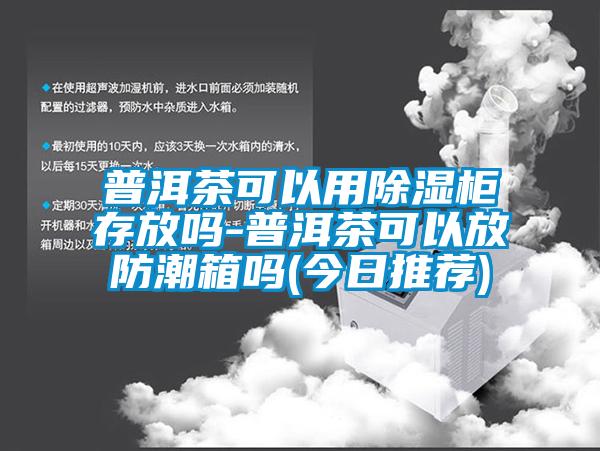 普洱茶可以用除濕柜存放嗎-普洱茶可以放防潮箱嗎(今日推薦)