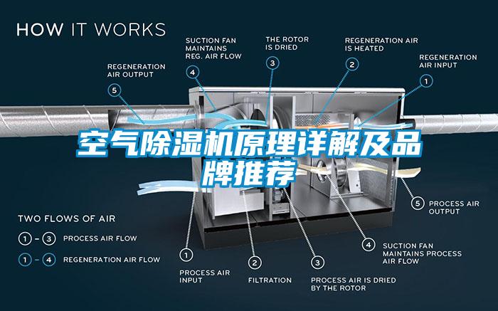 空氣除濕機原理詳解及品牌推薦