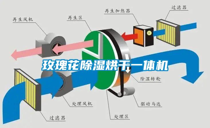 玫瑰花除濕烘干一體機