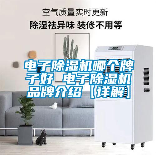 電子除濕機(jī)哪個(gè)牌子好 電子除濕機(jī)品牌介紹【詳解】