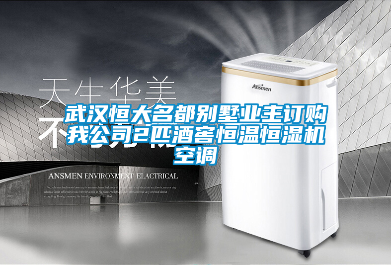 武漢恒大名都別墅業(yè)主訂購我公司2匹酒窖恒溫恒濕機空調(diào)