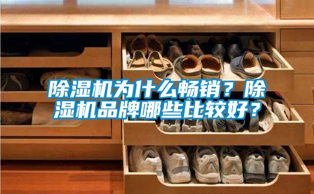 除濕機(jī)為什么暢銷？除濕機(jī)品牌哪些比較好？