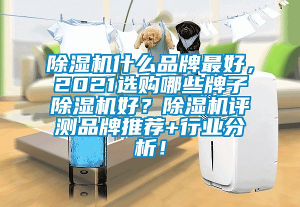 除濕機(jī)什么品牌最好，2021選購(gòu)哪些牌子除濕機(jī)好？除濕機(jī)評(píng)測(cè)品牌推薦+行業(yè)分析！