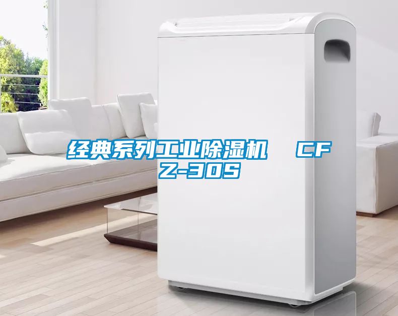 經(jīng)典系列工業(yè)除濕機  CFZ-30S