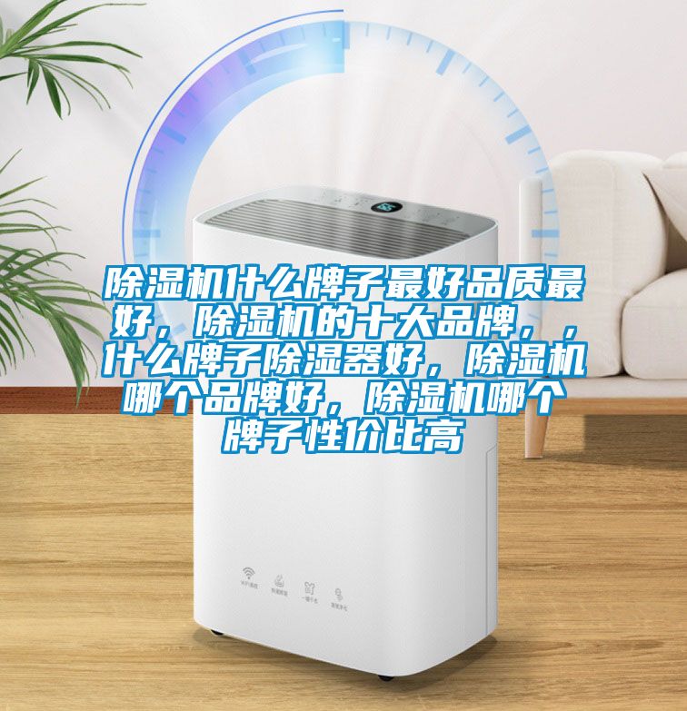 除濕機(jī)什么牌子最好品質(zhì)最好，除濕機(jī)的十大品牌，，什么牌子除濕器好，除濕機(jī)哪個(gè)品牌好，除濕機(jī)哪個(gè)牌子性價(jià)比高