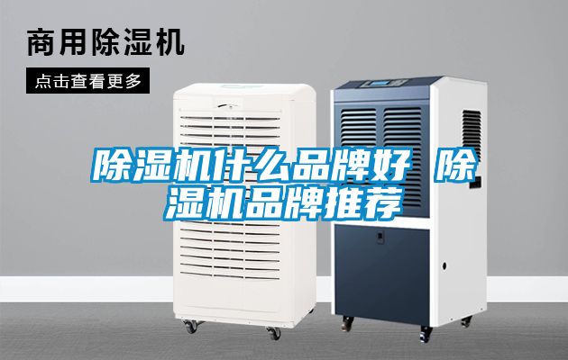 除濕機(jī)什么品牌好 除濕機(jī)品牌推薦