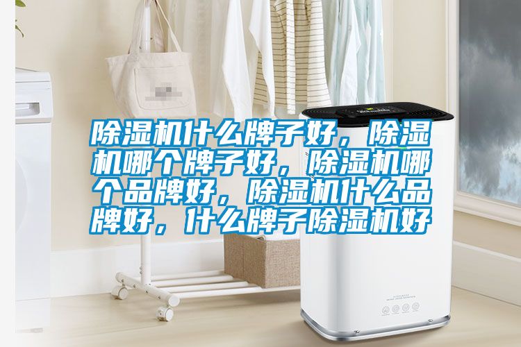 除濕機什么牌子好，除濕機哪個牌子好，除濕機哪個品牌好，除濕機什么品牌好，什么牌子除濕機好