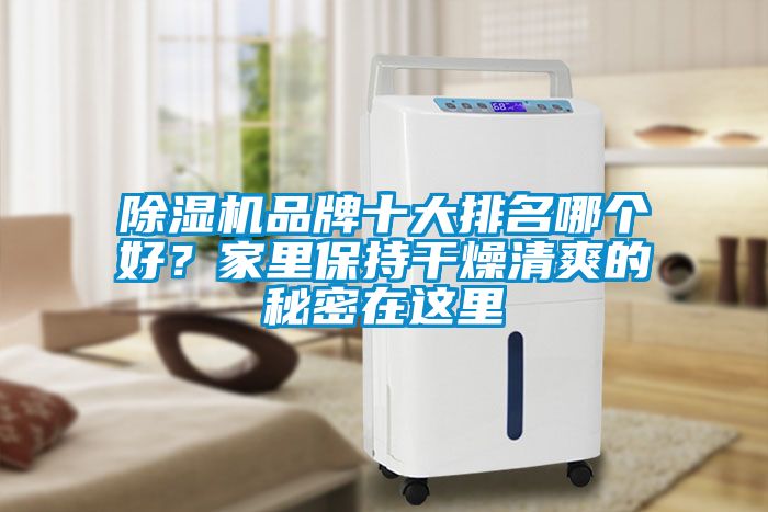 除濕機品牌十大排名哪個好？家里保持干燥清爽的秘密在這里