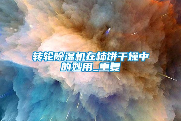 轉(zhuǎn)輪除濕機在柿餅干燥中的妙用_重復