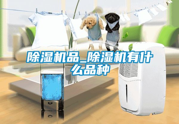 除濕機品_除濕機有什么品種