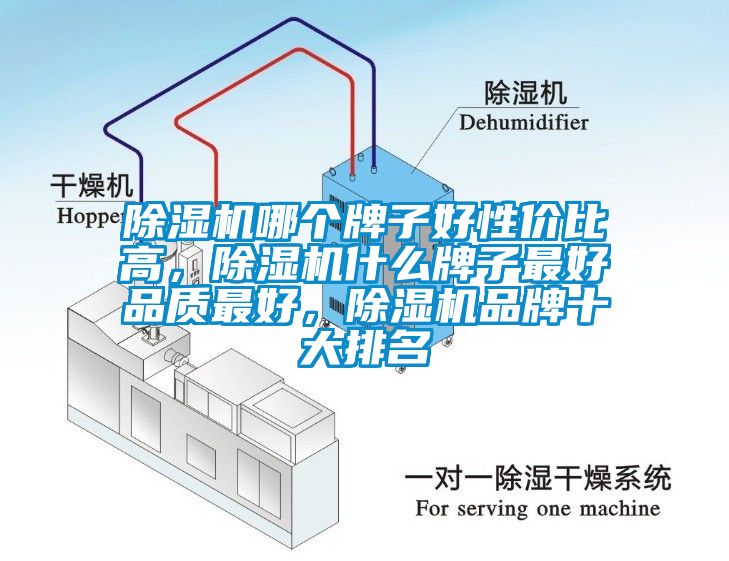 除濕機哪個牌子好性價比高，除濕機什么牌子最好品質(zhì)最好，除濕機品牌十大排名