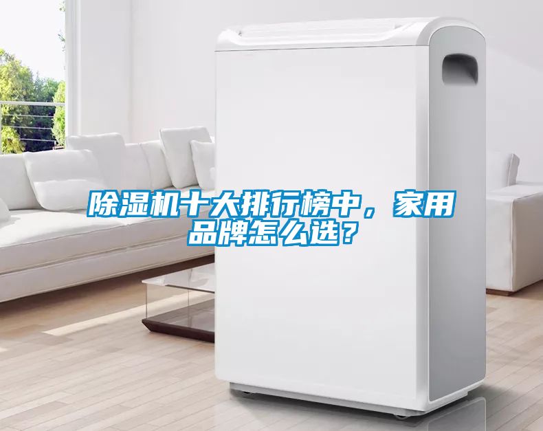 除濕機(jī)十大排行榜中，家用品牌怎么選？