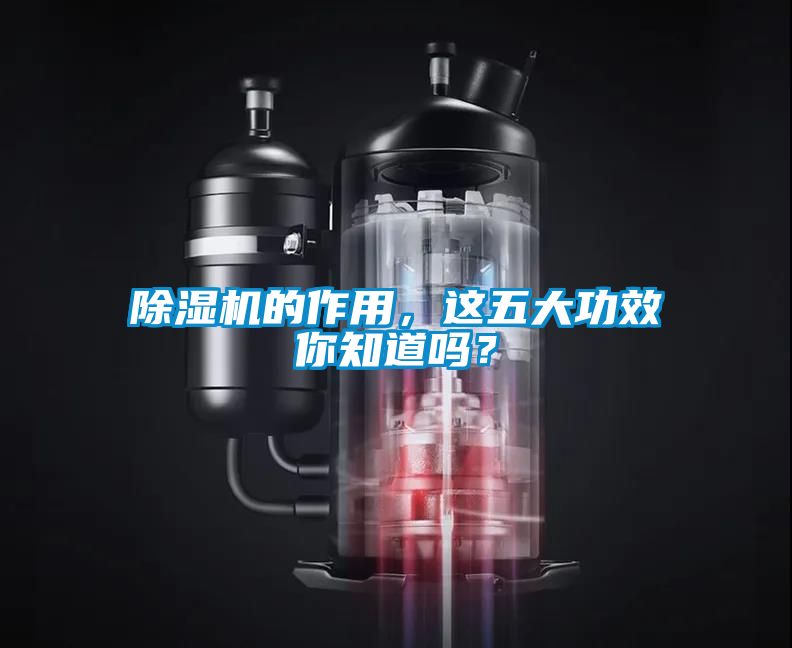 除濕機的作用，這五大功效你知道嗎？