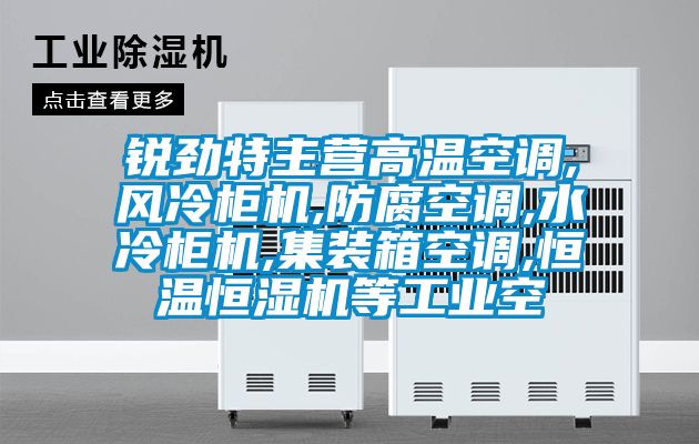 銳勁特主營高溫空調,風冷柜機,防腐空調,水冷柜機,集裝箱空調,恒溫恒濕機等工業(yè)空